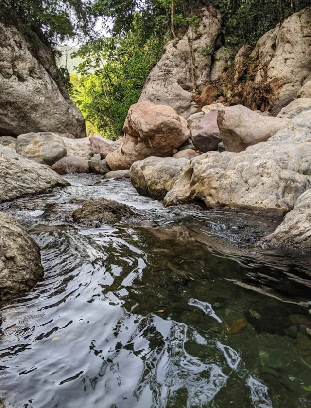 Creek with clear waters